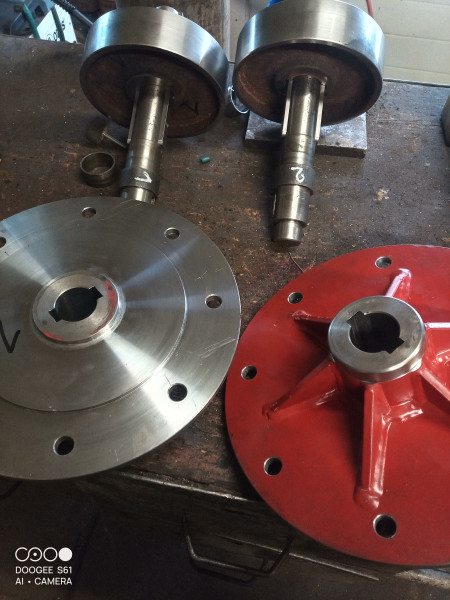 IMG20250315131316787